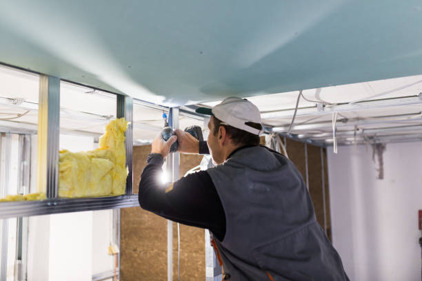 Best Insulation Maintenance and Repair in Foreman, AR