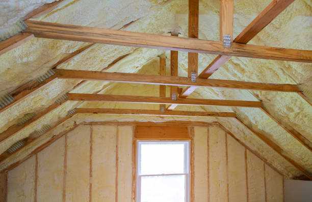 Best Sustainability and Green Building in Foreman, AR