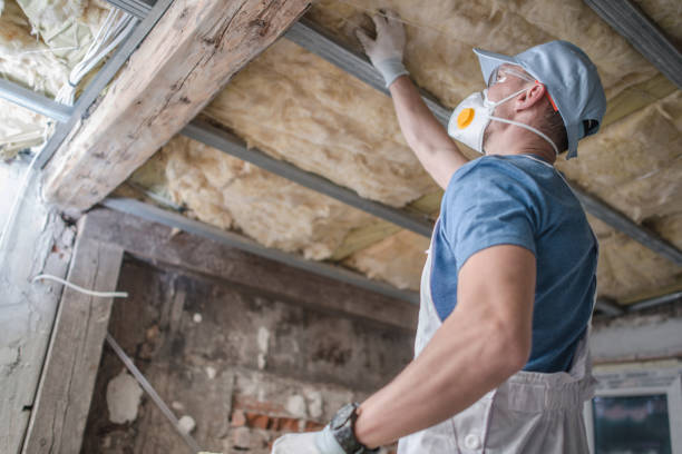 Best Commercial Insulation in Foreman, AR